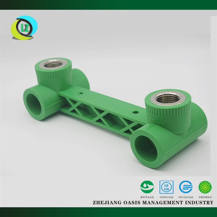 Tee femmina congiunta